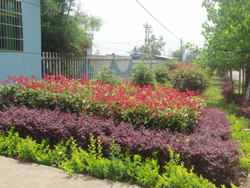 廠(chǎng)房設備