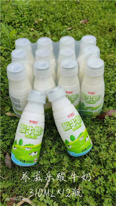 養滋樂(lè )酸牛奶