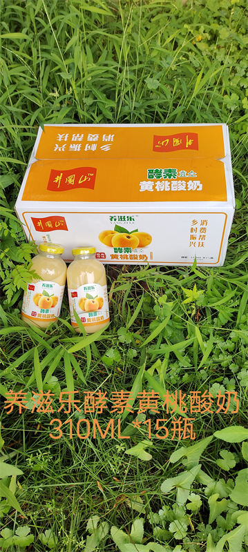 養滋樂(lè )酵素黃桃酸奶